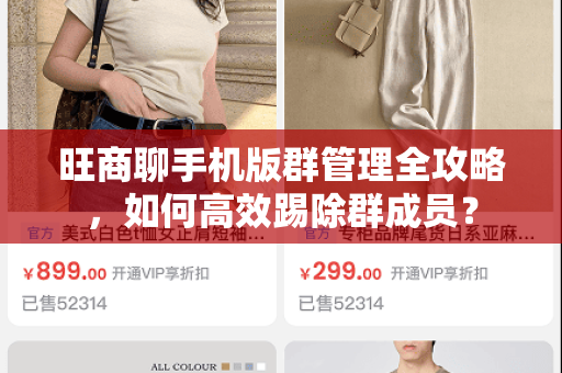 旺商聊手机版群管理全攻略,如何高效踢除群成员?-第1张图片-旺商聊最新版 旺商聊手机版群管理全攻略,如何高效踢除群成员?-第1张图片-旺商聊最新版